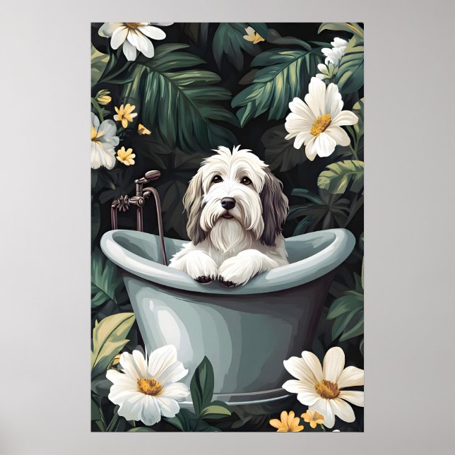 Affiche de vieux chien de berger anglais dans une  (Devant)