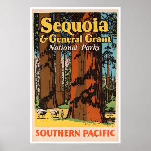 Affiche de voyage Parc national de Sequoia Califor