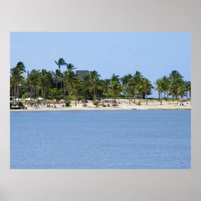 Affiche de vue tropicale (Devant)