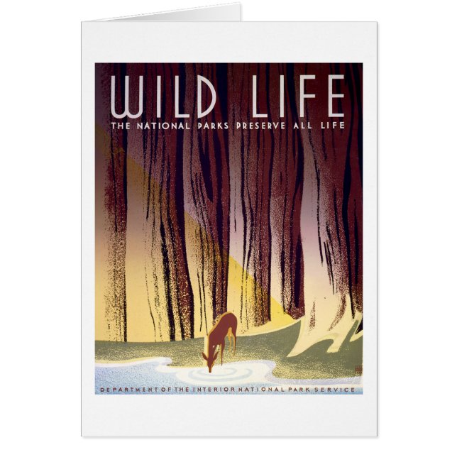 Affiche de WPA de faune (cerfs communs) (Devant)