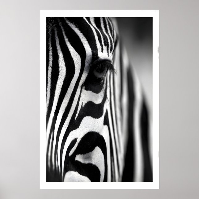 Affiche de zèbre faunique, rayures monochromes, œi (Devant)