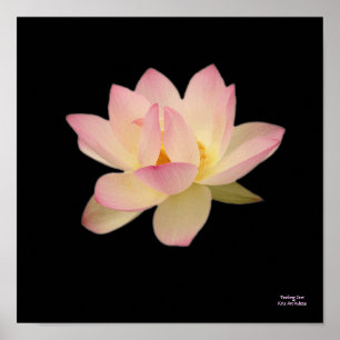 Affiche de Zen de sentiment