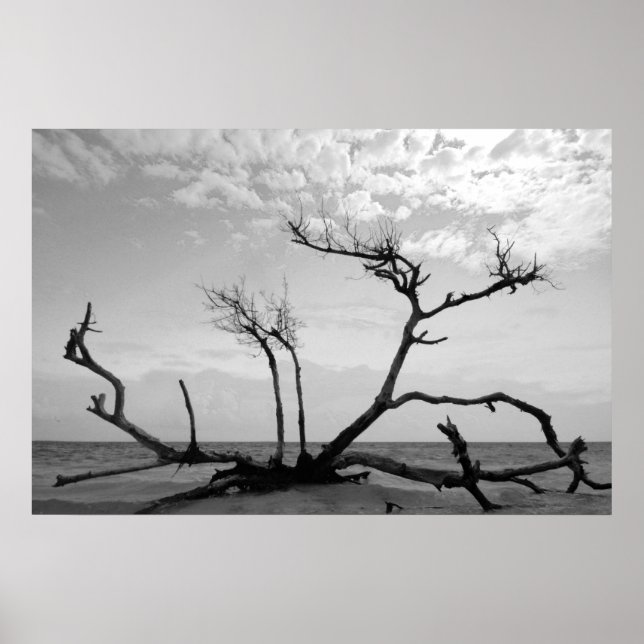 Affiche Dead Wood (Devant)