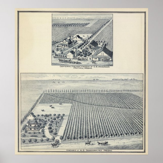 Affiche Deardorff et Centennial Vineyards, Californie (Devant)