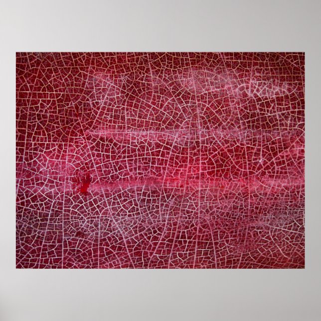 Affiche Death valley national park (Devant)