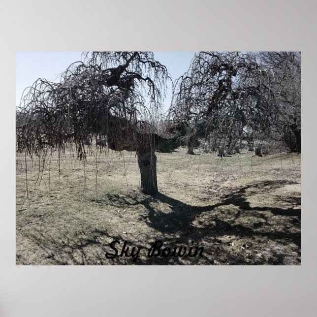 Affiche Debout dans le vent (Devant)