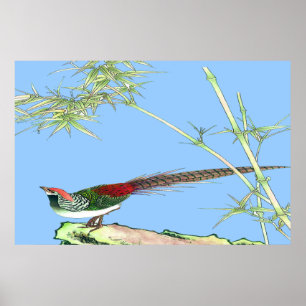 Affiche debout de faisan dessinant 7