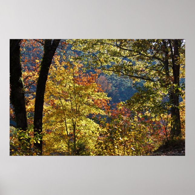 Affiche Début de l'automne matin sur West Mountain (Devant)