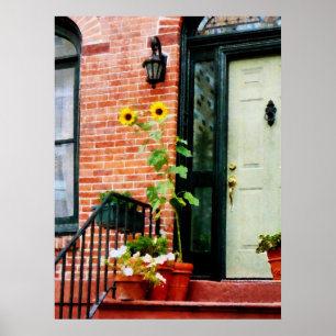 Affiche DÉBUT DE MOINS DE 20 $ - Tournesols sur le plateau