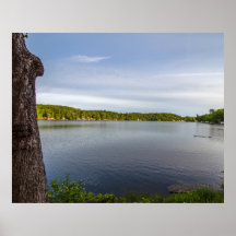 Début du voyage en famille de canards