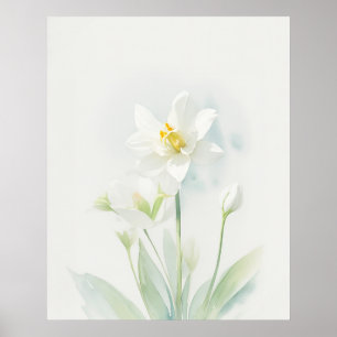 Affiche Décembre Narcisse Fleur de naissance