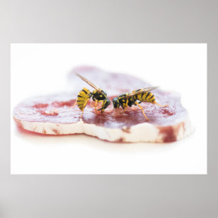 Affiche Déchets mangeant une saucisse