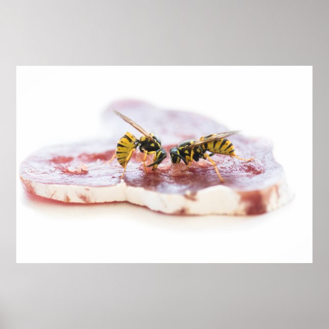 Affiche Déchets mangeant une saucisse (Devant)