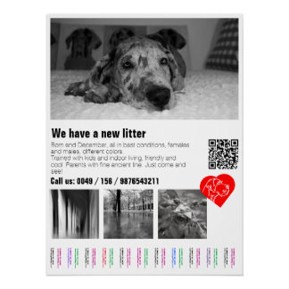 Affiche déchirante personnalisée de chiot Great Da