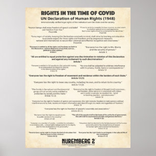Affiche Déclaration Des Nations Unies Sur Les Droits De L'