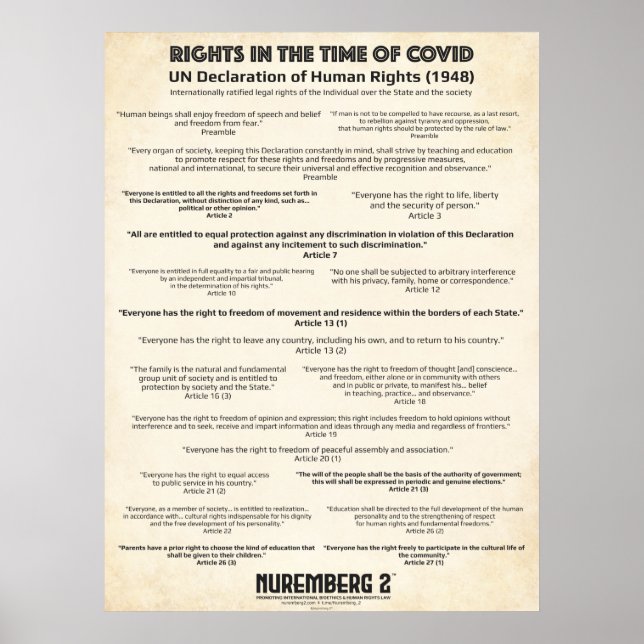Affiche Déclaration Des Nations Unies Sur Les Droits De L' (Devant)