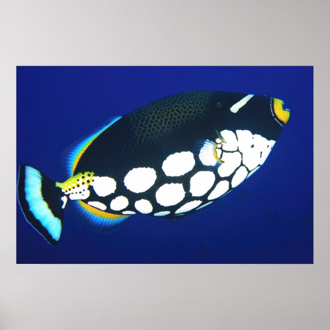 Affiche Déclencheur de clowns dans le bleu (Devant)