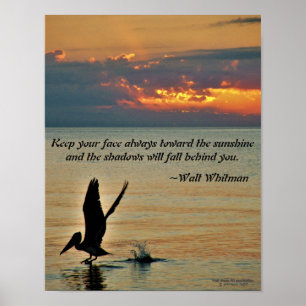 Affiche décollage pélican au coucher du soleil Côte du Gol