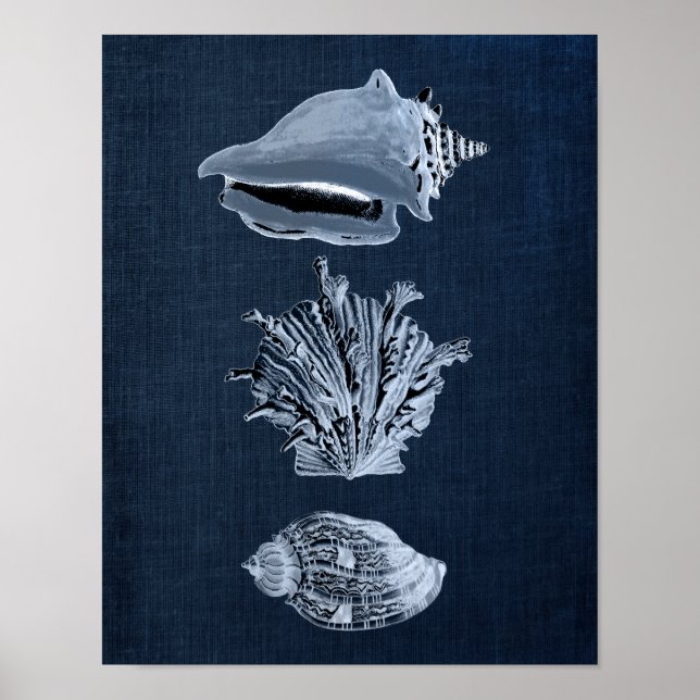 Affiche Décor de la Marine Marque Coquillage Imprimer no 1 (Devant)