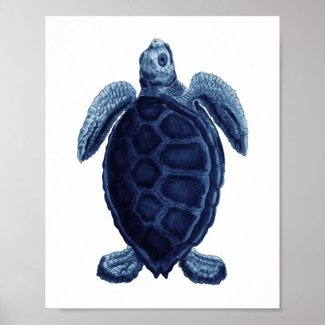 Affiche Décor de la salle de bains Marine Blue Sea Turtle  (Devant)