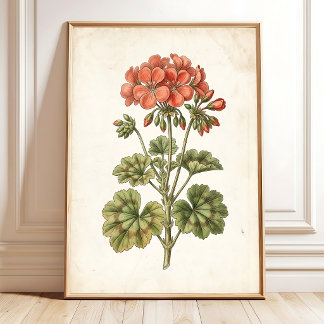 Affiche Décor de maison botanique vintage au géranium