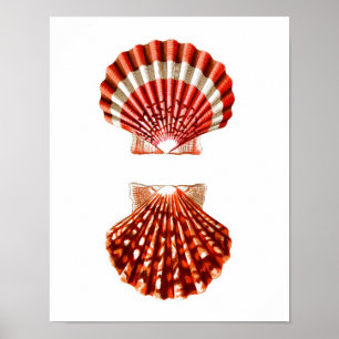 Affiche Décor de maison de plage de l'impression no.9