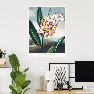 Affiche Décor floral exotique blanc jaune de style Régence