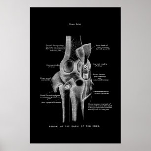 Affiche Décor Médicale de l'anatomie articulaire du genou
