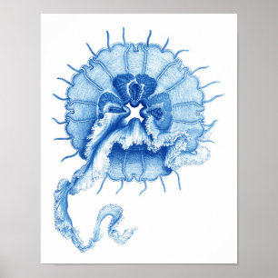 Affiche Décor nautique bleu de mur de l'impression no.4
