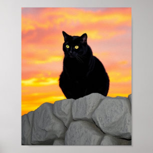 Affiche Découpure de chat noir au coucher du soleil sur to