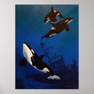 Affiche "Découverte" Orca et épave