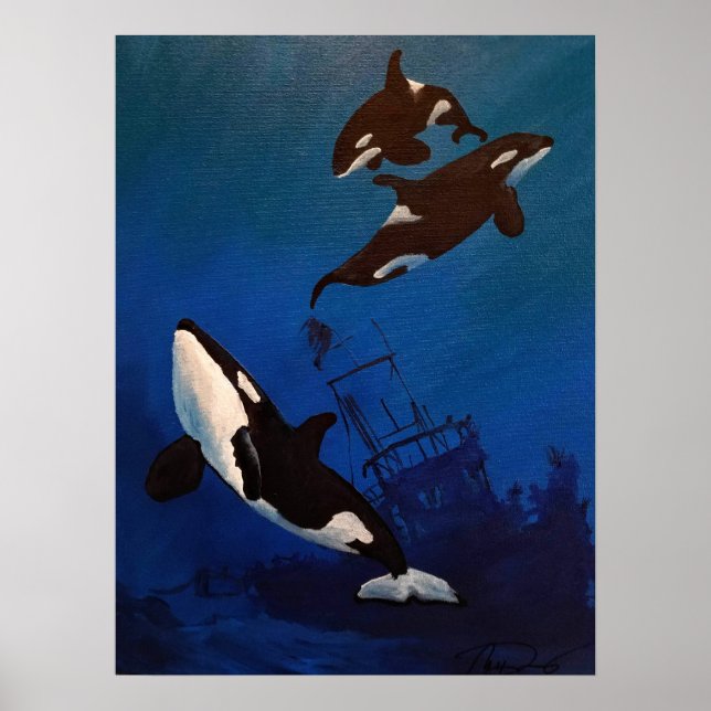 Affiche "Découverte" Orca et épave (Devant)