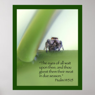 Affiche d'écriture sainte de 145:15 de psaume