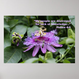 Affiche d'écriture sainte de 4:6 de Hosea