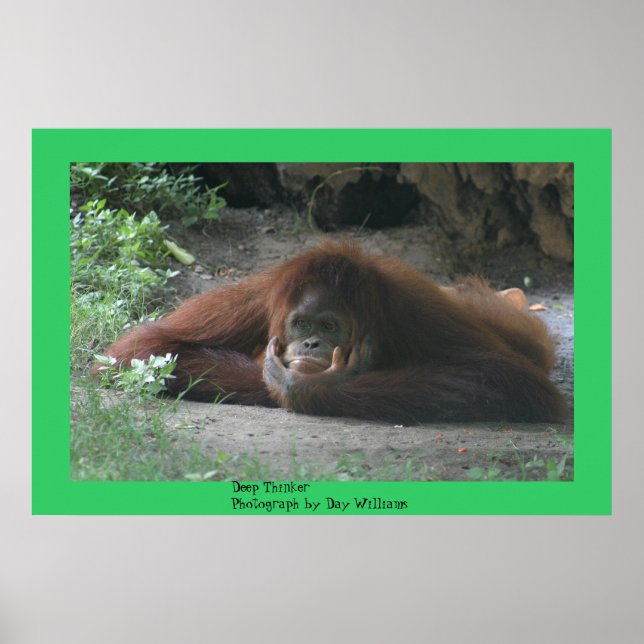 Affiche Deep Thinker (Devant)