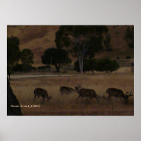 Deer in Hills Imprimer - Sélectionnez votre cadre