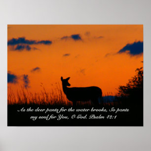 Affiche Deer Sunset