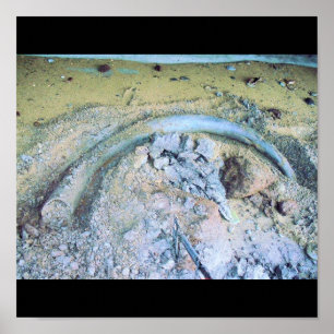 Affiche défense gigantesque (2)