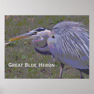 Affiche Défi Great Blue Heron