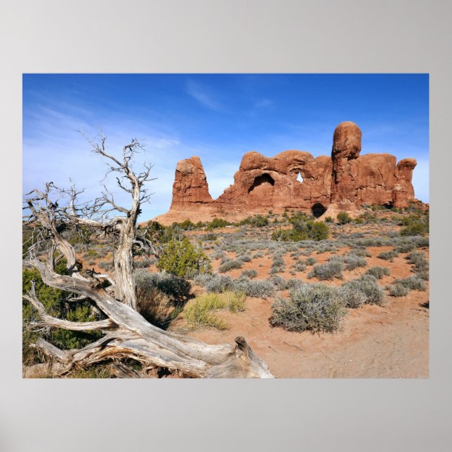 Affiche Défilé d'éléphants à Arches National Park (Devant)