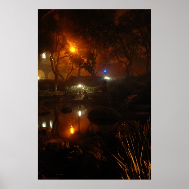 Affiche Défiler dans le brouillard (Devant)