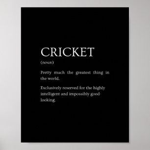 Affiche Définition de cricket - Explication drôle sarcasti