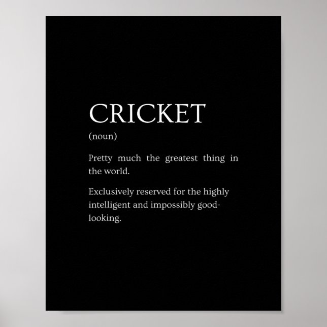 Affiche Définition de cricket - Explication drôle sarcasti (Devant)