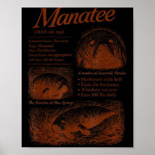 Affiche Définition de lamantin 90s respectez les locaux sa
