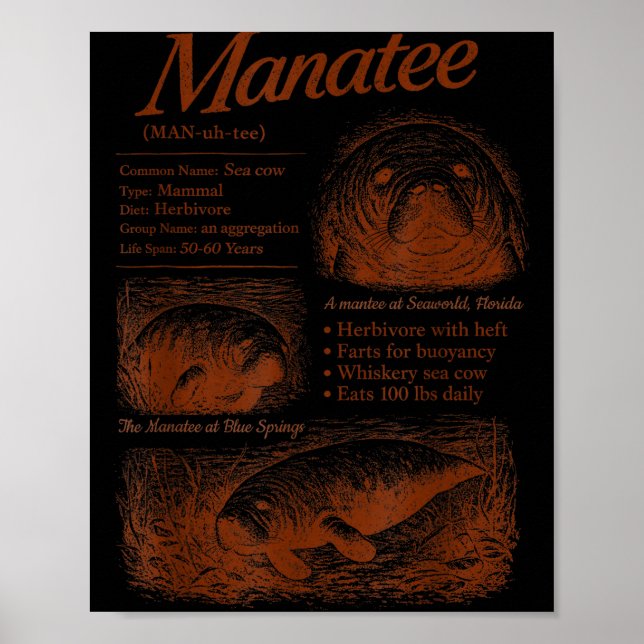 Affiche Définition de lamantin 90s respectez les locaux sa (Devant)
