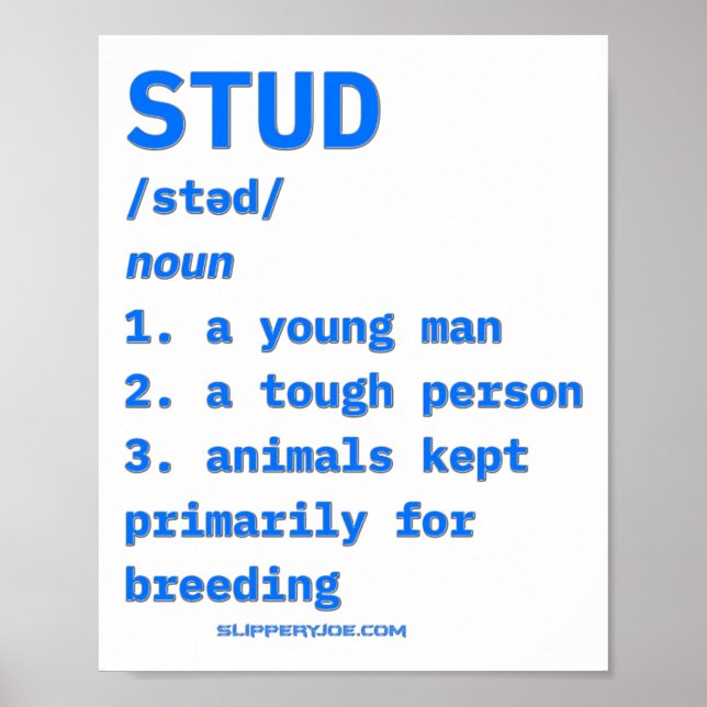 Affiche Définition de Slipperyjoes Stud Animaux Dictionnai (Devant)