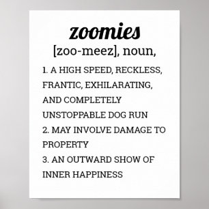 AFFICHE DÉFINITION DES ZOOMIES