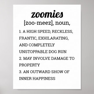 AFFICHE DÉFINITION DES ZOOMIES
