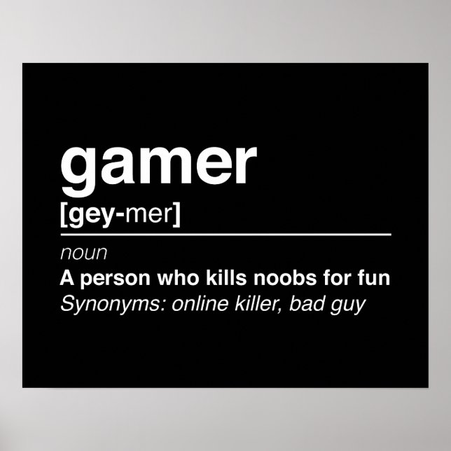 Affiche Définition du gamer (Devant)