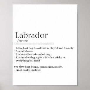 Affiche Définition du Labrador